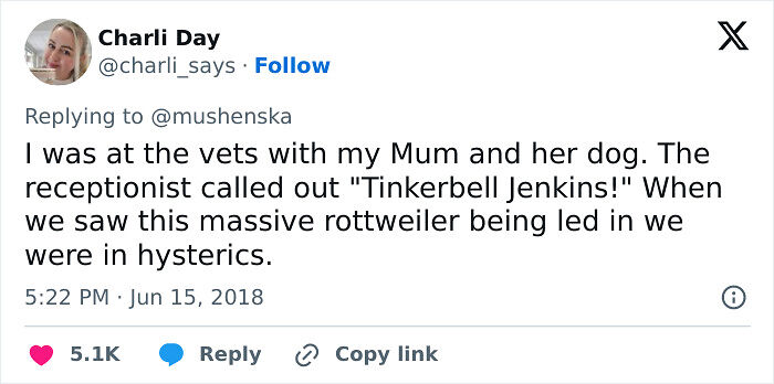 57 Ridiculous Pet Names People Just Had To Share 57 Ridiculous Pet Names People Just Had To Share