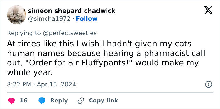 57 Ridiculous Pet Names People Just Had To Share 57 Ridiculous Pet Names People Just Had To Share