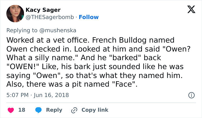 57 Ridiculous Pet Names People Just Had To Share 57 Ridiculous Pet Names People Just Had To Share