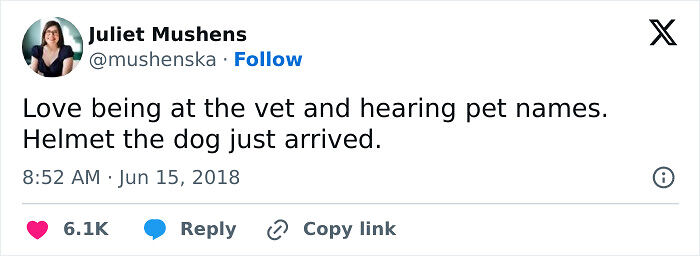 57 Ridiculous Pet Names People Just Had To Share 57 Ridiculous Pet Names People Just Had To Share