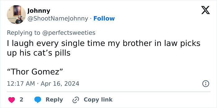 57 Ridiculous Pet Names People Just Had To Share 57 Ridiculous Pet Names People Just Had To Share