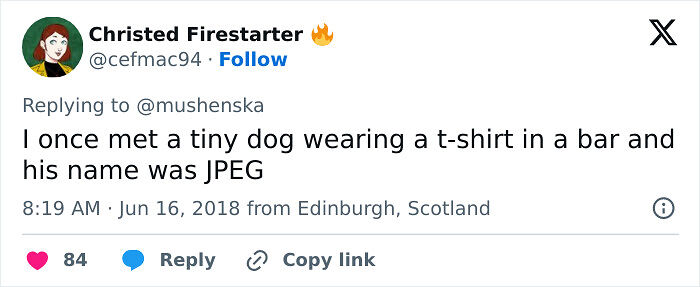 57 Ridiculous Pet Names People Just Had To Share 57 Ridiculous Pet Names People Just Had To Share