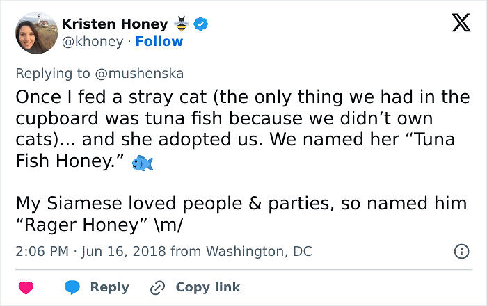 57 Ridiculous Pet Names People Just Had To Share 57 Ridiculous Pet Names People Just Had To Share