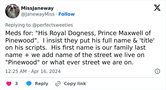 57 Ridiculous Pet Names People Just Had To Share 57 Ridiculous Pet Names People Just Had To Share