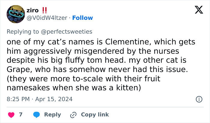 57 Ridiculous Pet Names People Just Had To Share 57 Ridiculous Pet Names People Just Had To Share