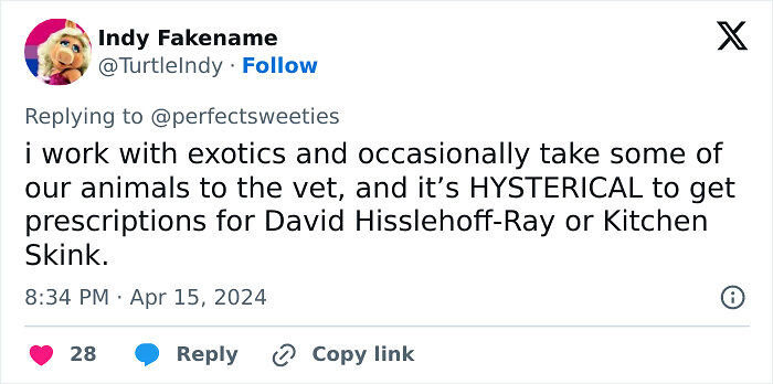 57 Ridiculous Pet Names People Just Had To Share 57 Ridiculous Pet Names People Just Had To Share