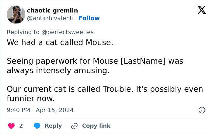 57 Ridiculous Pet Names People Just Had To Share 57 Ridiculous Pet Names People Just Had To Share