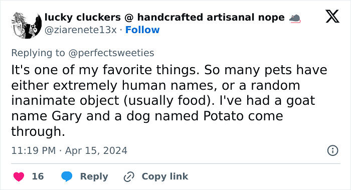 57 Ridiculous Pet Names People Just Had To Share 57 Ridiculous Pet Names People Just Had To Share