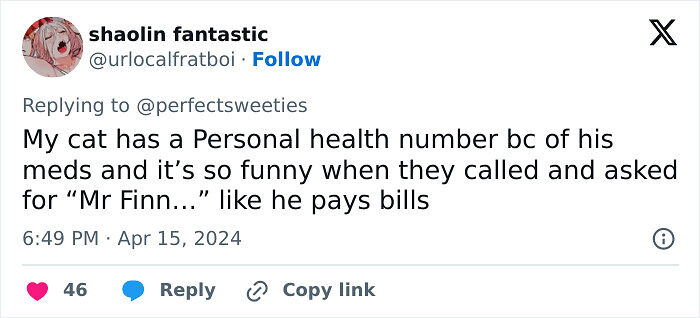 57 Ridiculous Pet Names People Just Had To Share 57 Ridiculous Pet Names People Just Had To Share