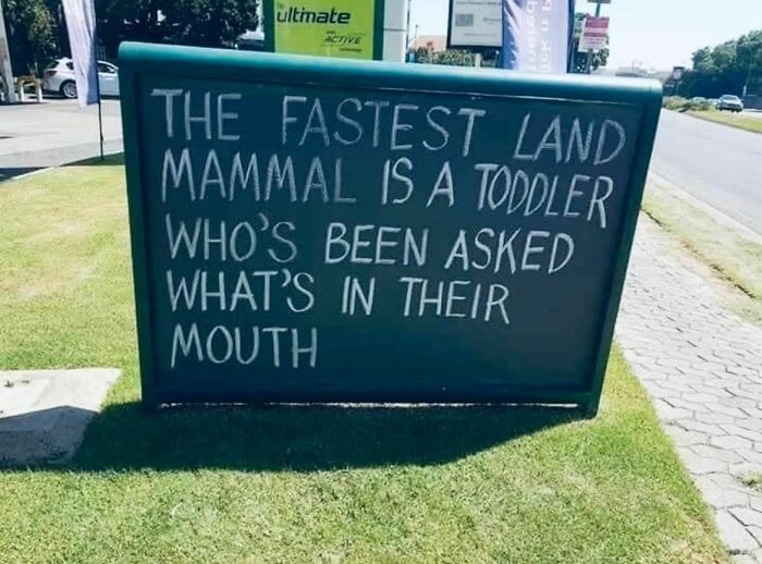 77 Signs So Strange They Deserve A Double Take 77 Signs So Strange They Deserve A Double Take