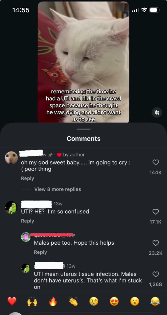 81 Times People Tried Correcting Someone And Failed Miserably 81 Times People Tried Correcting Someone And Failed Miserably