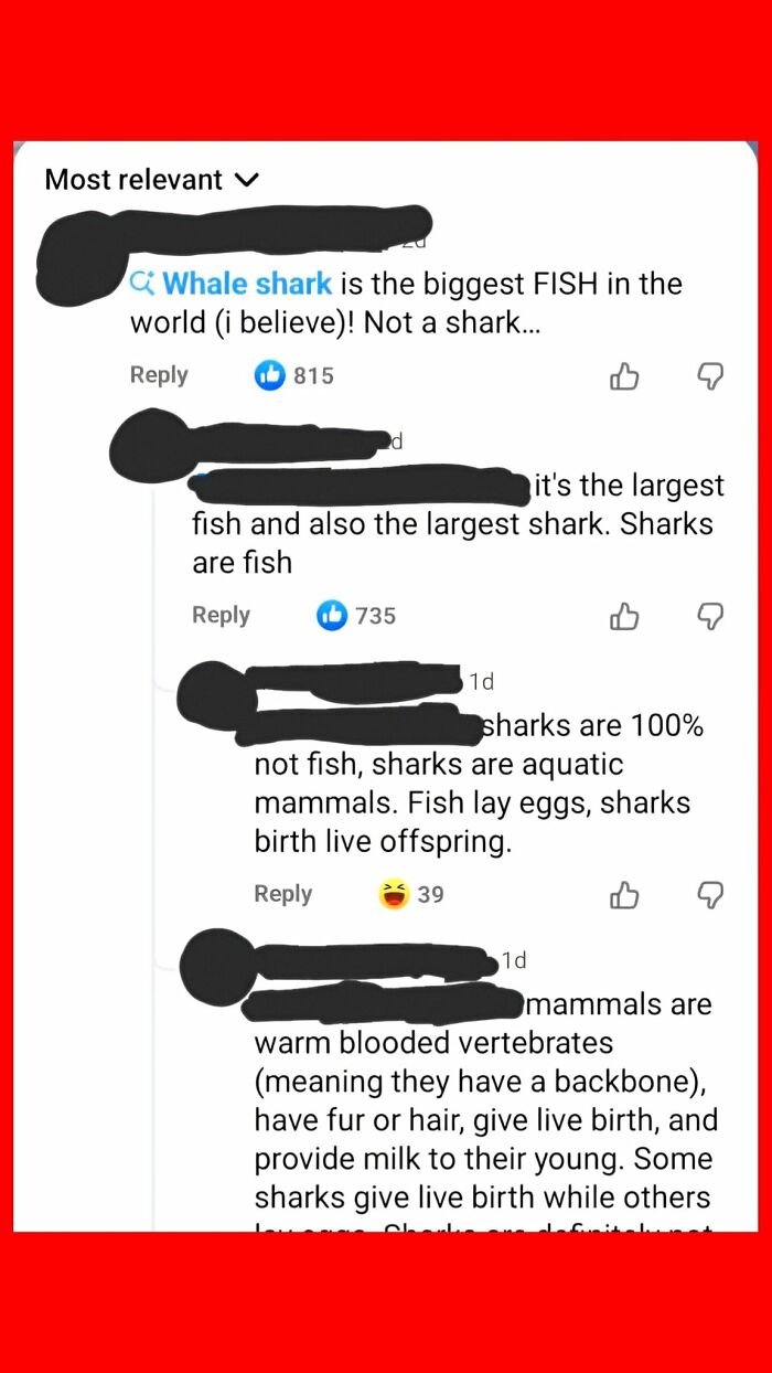 81 Times People Tried Correcting Someone And Failed Miserably 81 Times People Tried Correcting Someone And Failed Miserably