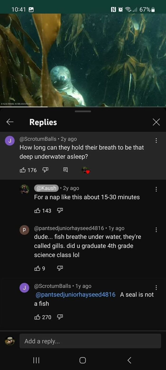 81 Times People Tried Correcting Someone And Failed Miserably 81 Times People Tried Correcting Someone And Failed Miserably