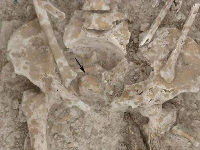 38 Times Archaeologists Dug Up Something Truly Terrifying And Creepy 38 Times Archaeologists Dug Up Something Truly Terrifying And Creepy