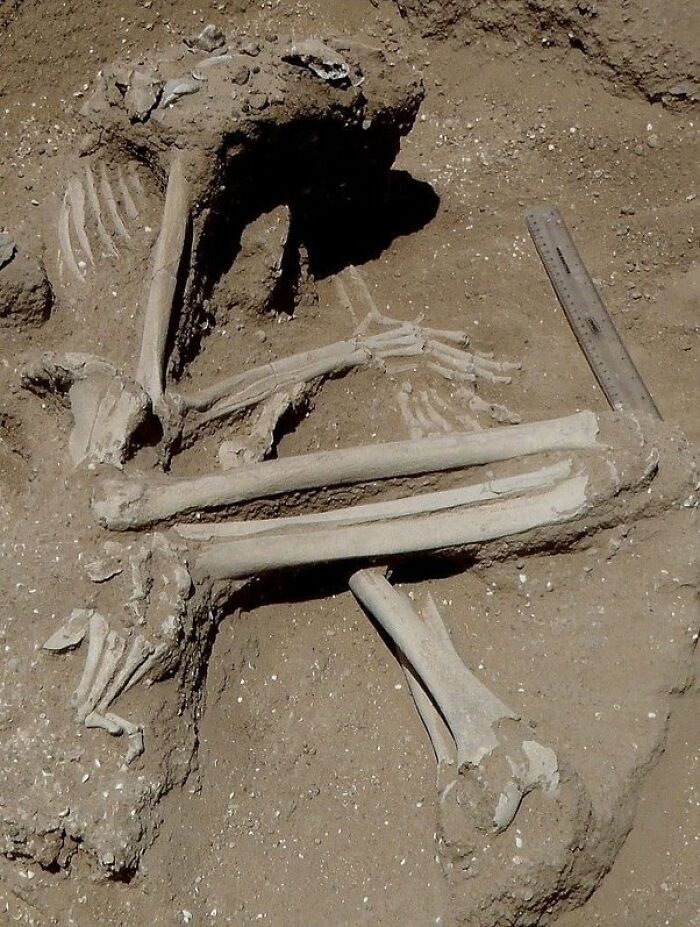 38 Times Archaeologists Dug Up Something Truly Terrifying And Creepy 38 Times Archaeologists Dug Up Something Truly Terrifying And Creepy