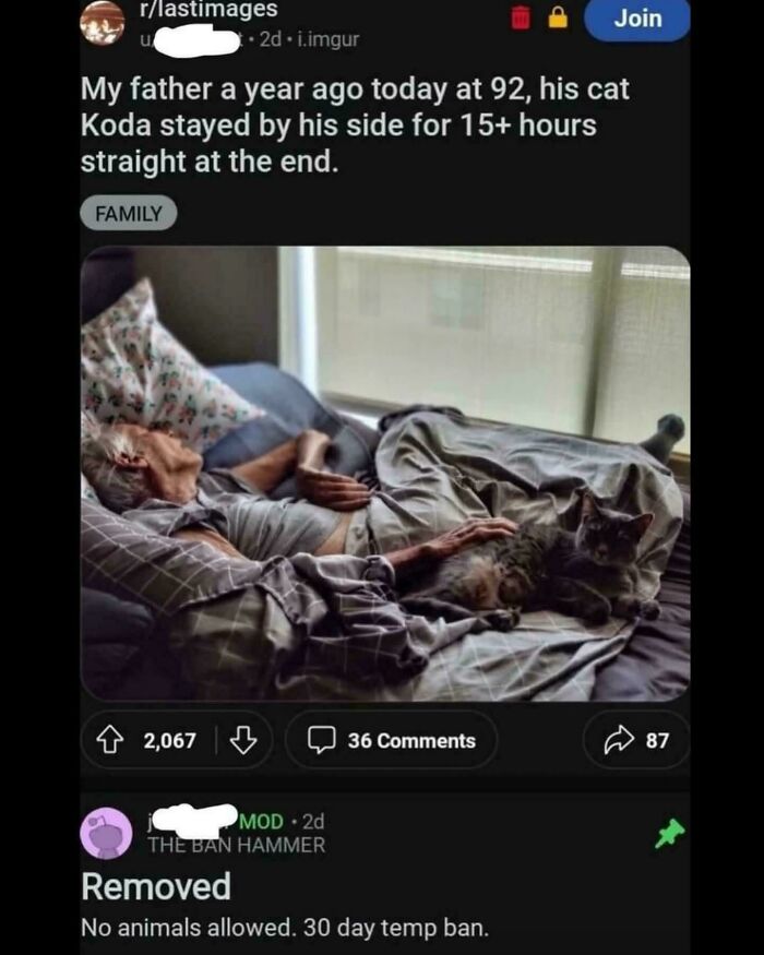 87 Cringy And Sad Moments That Will Forever Live As Screenshots Online (New Pics)