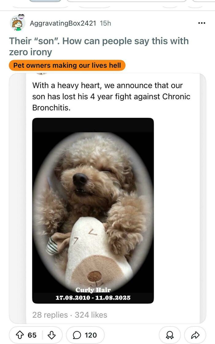 87 Cringy And Sad Moments That Will Forever Live As Screenshots Online (New Pics)