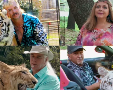 tiger-king (1) Tiger king scenes