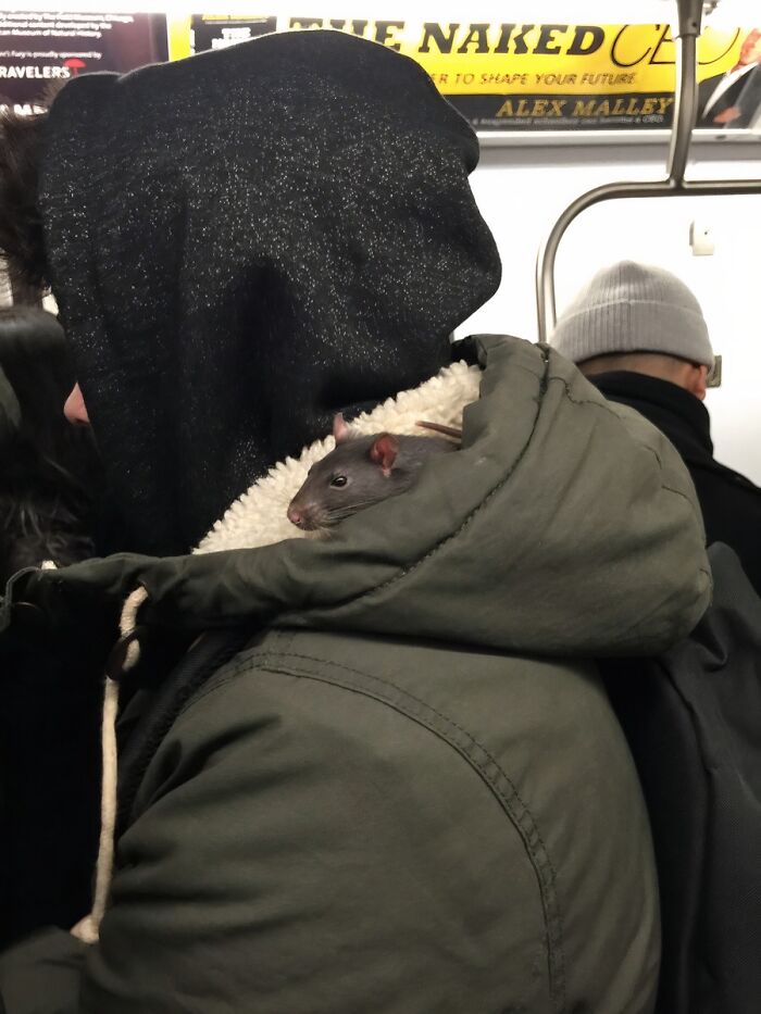 &ldquo;Only In A NYC Subway&rdquo;: 51 Weird Moments On The Subway That Quickly Went Off The Rails (New Pics)