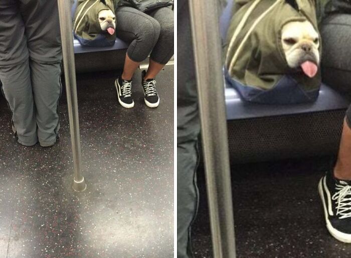 &ldquo;Only In A NYC Subway&rdquo;: 51 Weird Moments On The Subway That Quickly Went Off The Rails (New Pics)