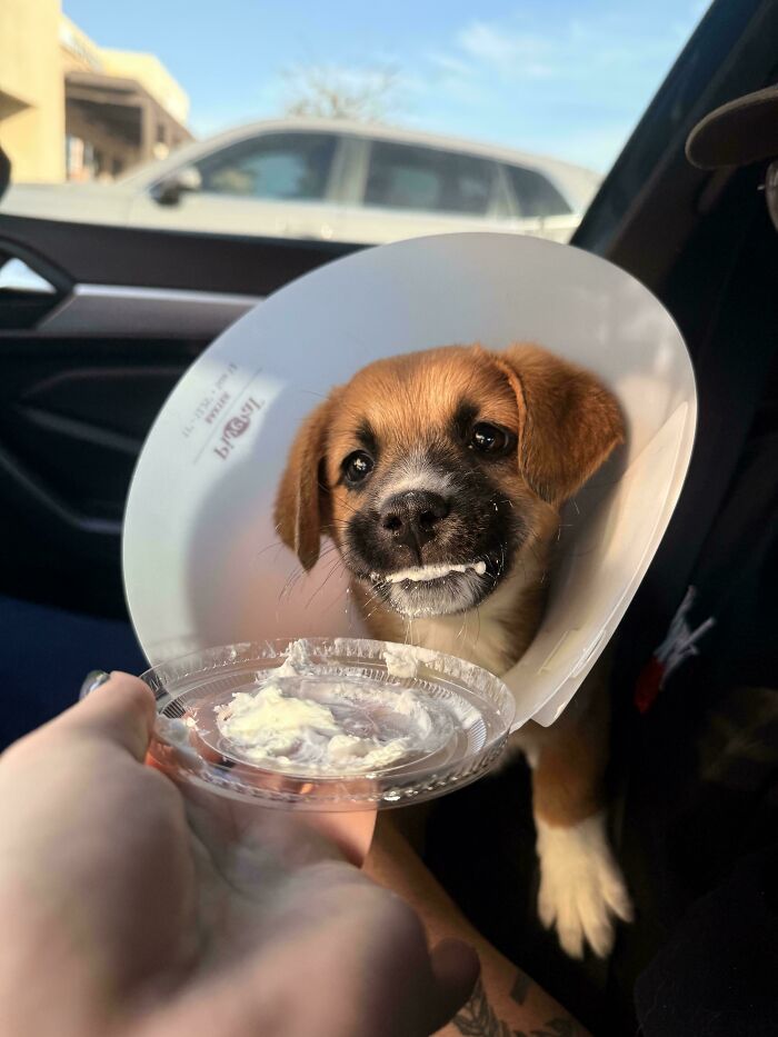 83 Adopted Animals Whose First Month In Their Forever Homes Is Pure Wholesomeness (February Edition)