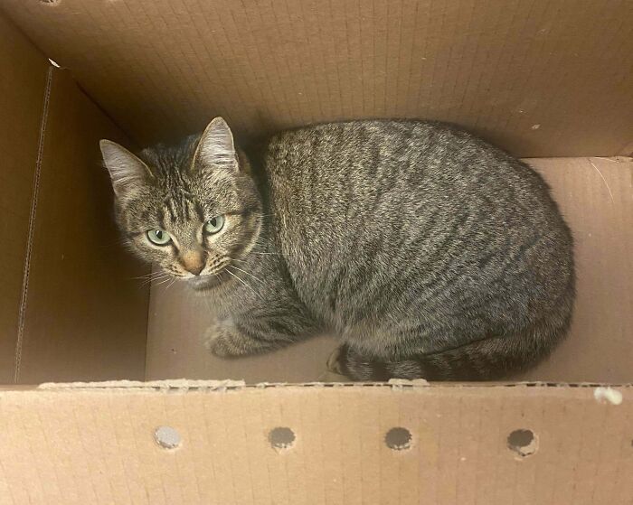 83 Adopted Animals Whose First Month In Their Forever Homes Is Pure Wholesomeness (February Edition)