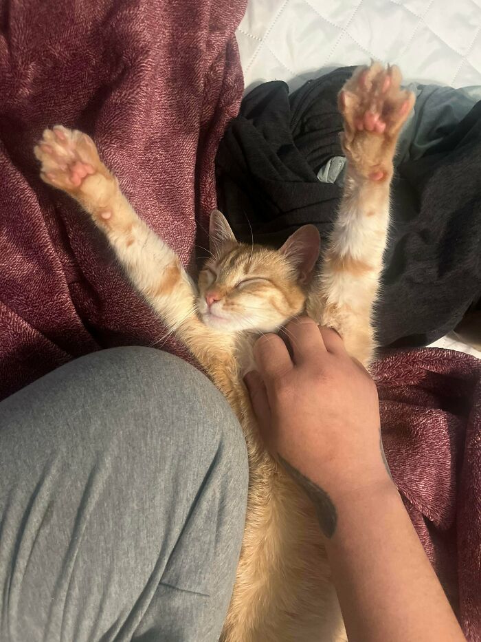 83 Adopted Animals Whose First Month In Their Forever Homes Is Pure Wholesomeness (February Edition)