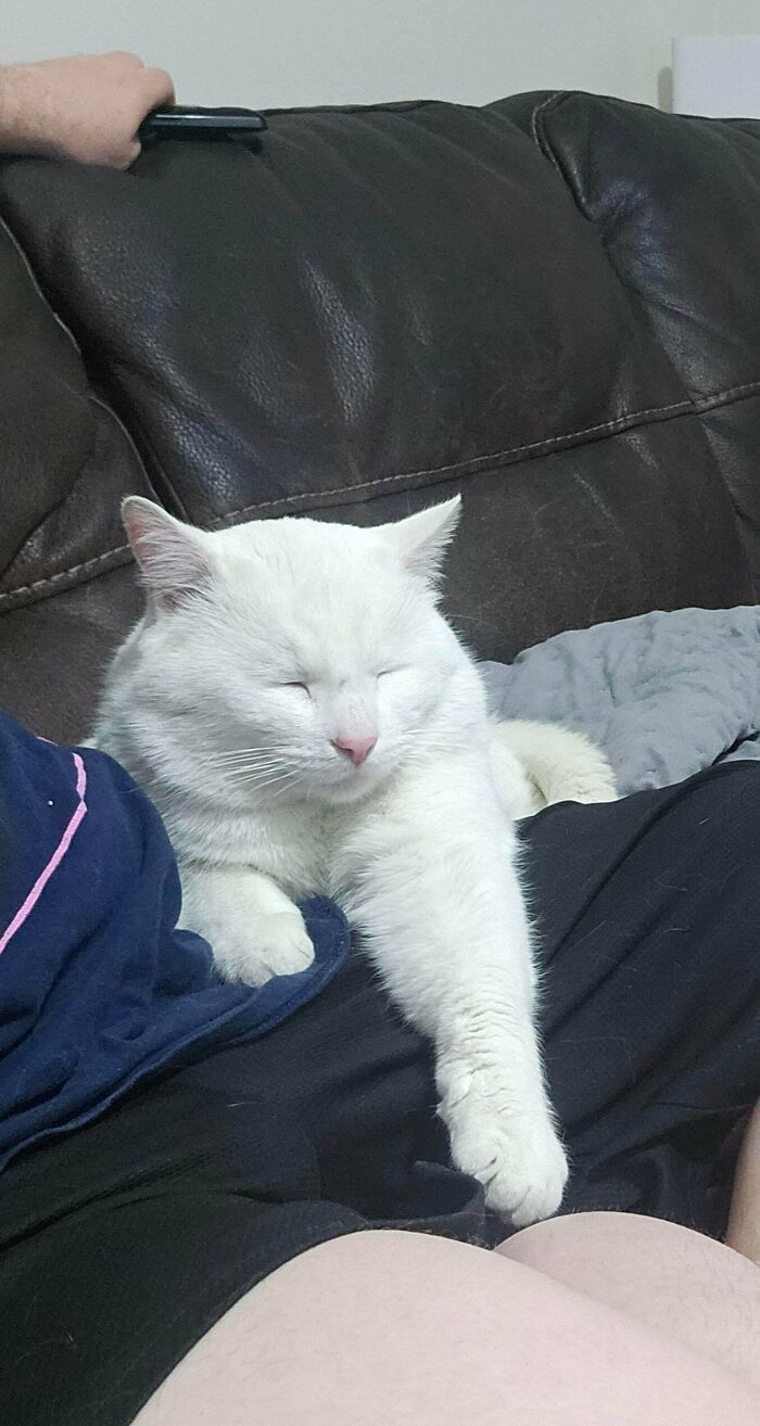 83 Adopted Animals Whose First Month In Their Forever Homes Is Pure Wholesomeness (February Edition)