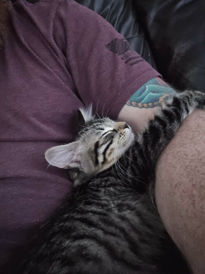 83 Adopted Animals Whose First Month In Their Forever Homes Is Pure Wholesomeness (February Edition)