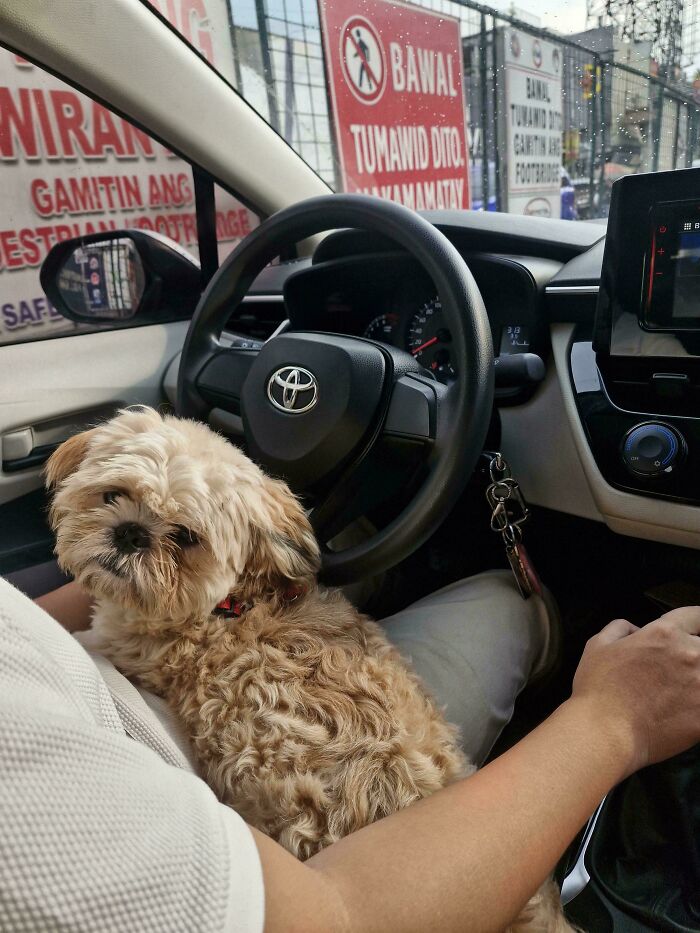 83 Adopted Animals Whose First Month In Their Forever Homes Is Pure Wholesomeness (February Edition)