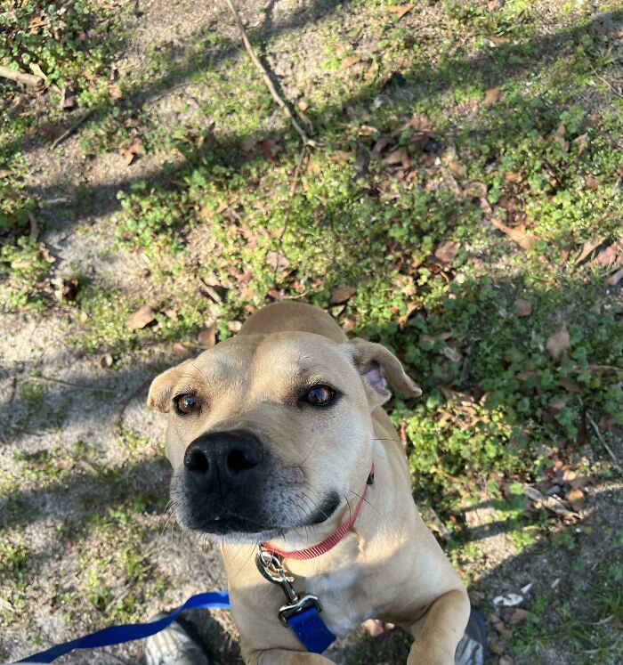 83 Adopted Animals Whose First Month In Their Forever Homes Is Pure Wholesomeness (February Edition)