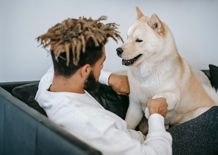 Woman Refuses To Dogsit Her Brother’s Elderly Dog, Gets Shocked When He Declines To Babysit Her Kids