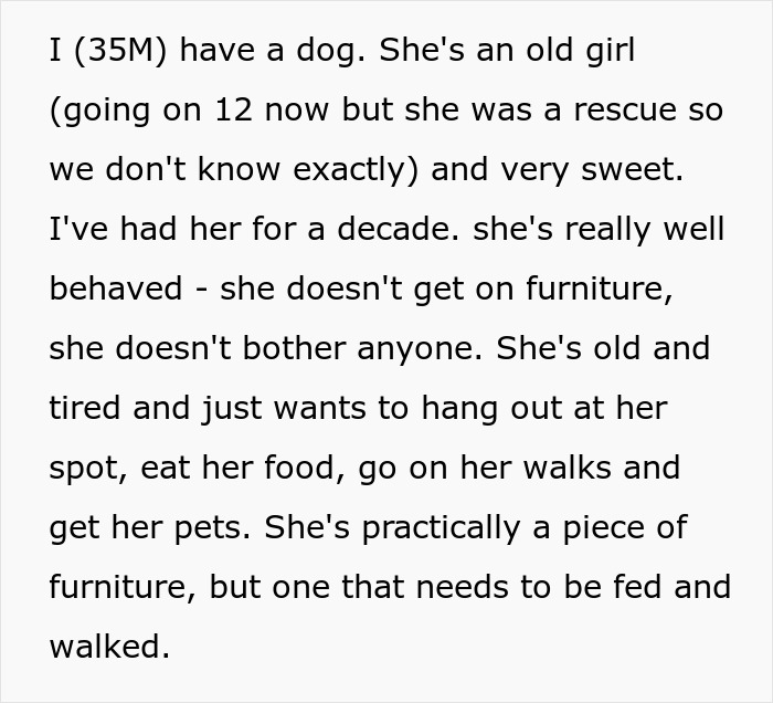 Woman Refuses To Dogsit Her Brother’s Elderly Dog, Gets Shocked When He Declines To Babysit Her Kids