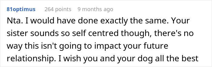 Woman Refuses To Dogsit Her Brother’s Elderly Dog, Gets Shocked When He Declines To Babysit Her Kids