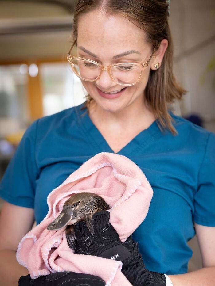 Wildlife Warriors Worldwide: 55 Touching Photos Of Animals Being Rescued