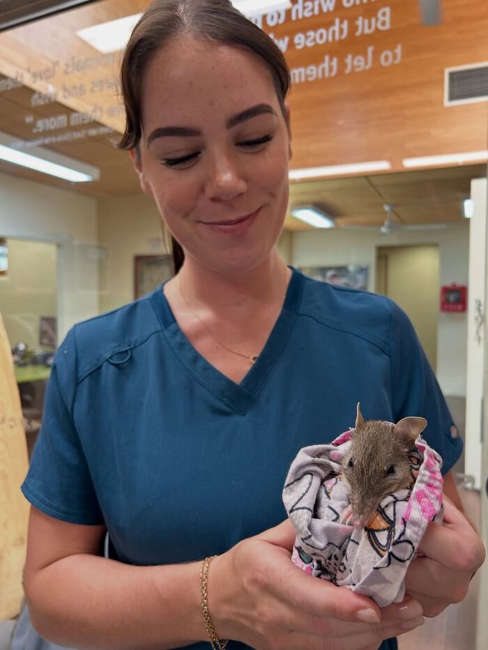 Wildlife Warriors Worldwide: 55 Touching Photos Of Animals Being Rescued