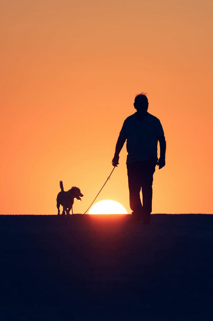 Serbian Photographer Martin Kocjan Creates Clean, Minimalist Frames With Light, Shadow, And Contrast (44 Pics)