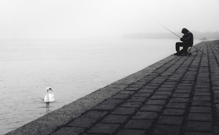 Serbian Photographer Martin Kocjan Creates Clean, Minimalist Frames With Light, Shadow, And Contrast (44 Pics)