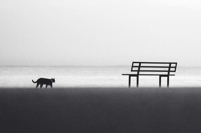 Serbian Photographer Martin Kocjan Creates Clean, Minimalist Frames With Light, Shadow, And Contrast (44 Pics)