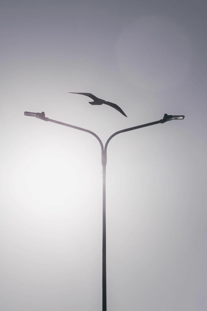 Serbian Photographer Martin Kocjan Creates Clean, Minimalist Frames With Light, Shadow, And Contrast (44 Pics)