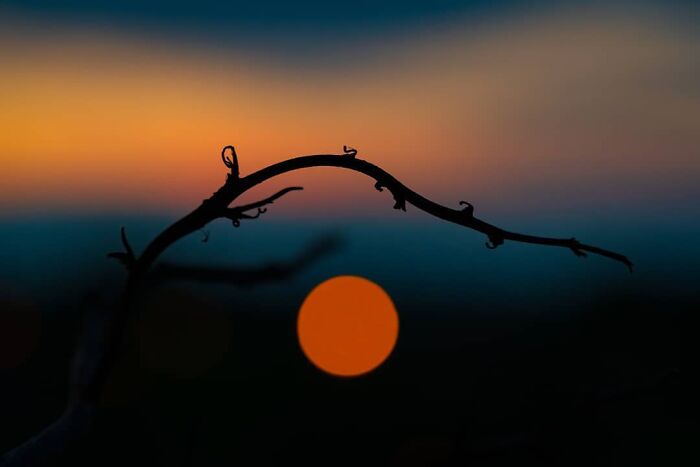 Serbian Photographer Martin Kocjan Creates Clean, Minimalist Frames With Light, Shadow, And Contrast (44 Pics)