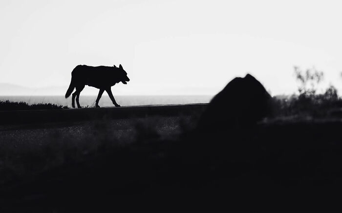 Serbian Photographer Martin Kocjan Creates Clean, Minimalist Frames With Light, Shadow, And Contrast (44 Pics)