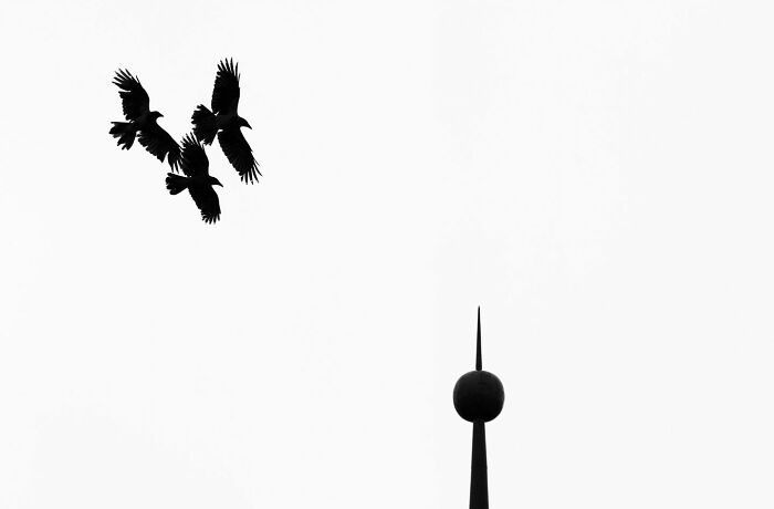 Serbian Photographer Martin Kocjan Creates Clean, Minimalist Frames With Light, Shadow, And Contrast (44 Pics)