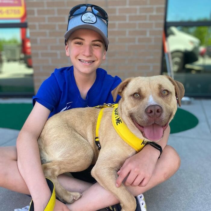 This 14-Year-Old Has Helped Save Over 5,000 Shelter Dogs (30 Pics)