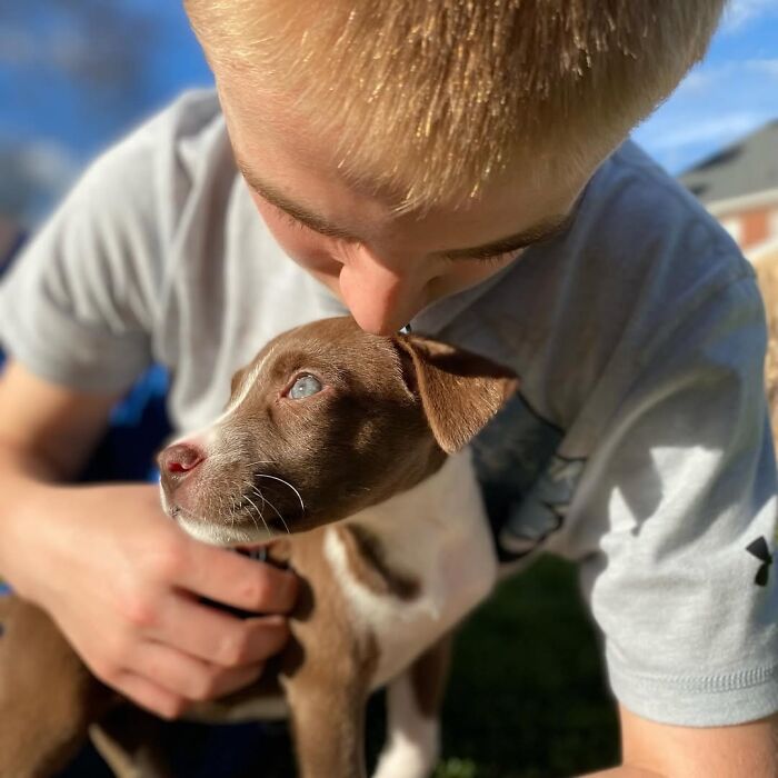 This 14-Year-Old Has Helped Save Over 5,000 Shelter Dogs (30 Pics)