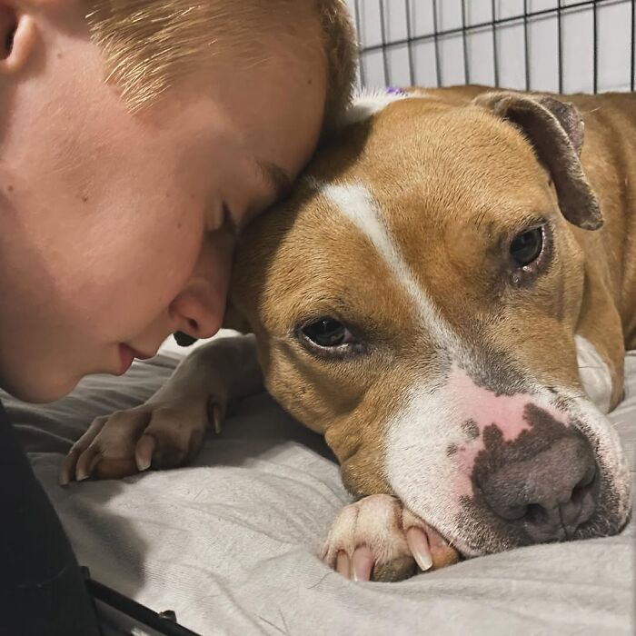 This 14-Year-Old Has Helped Save Over 5,000 Shelter Dogs (30 Pics)