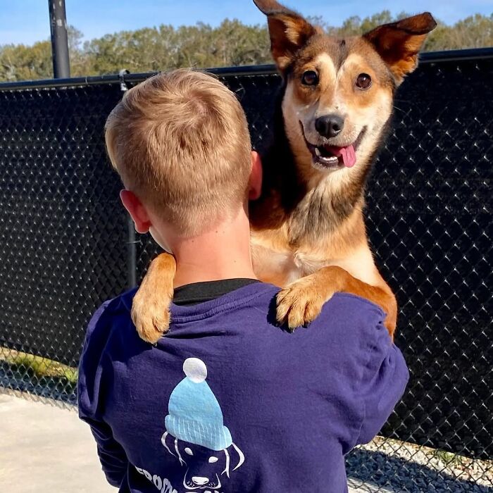 This 14-Year-Old Has Helped Save Over 5,000 Shelter Dogs (30 Pics)