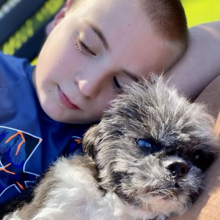 This 14-Year-Old Has Helped Save Over 5,000 Shelter Dogs (30 Pics)