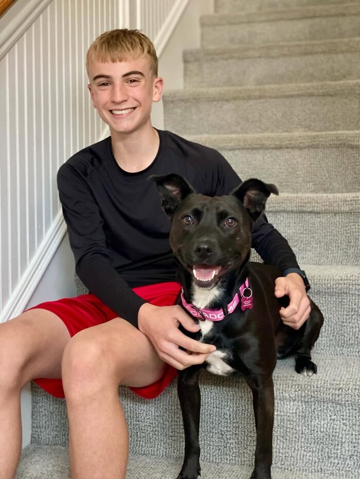 This 14-Year-Old Has Helped Save Over 5,000 Shelter Dogs (30 Pics)