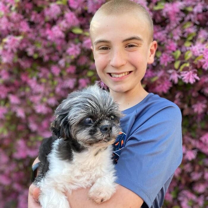 This 14-Year-Old Has Helped Save Over 5,000 Shelter Dogs (30 Pics)